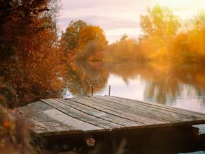 ما تفسير الحلم بالبحيرة في المنام؟