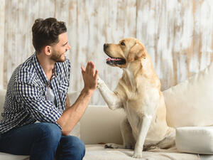 Dogs are able to detect speech and distinguish between different languages