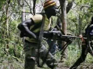  ميليشيا كوديكو