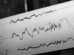 زلزال قوته 5.6 درجة يضرب نيوزيلندا