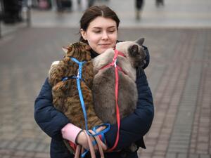 Ukrainian Refugees 