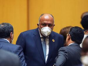 Egypt's Foreign Minister