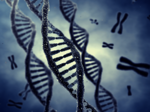 Researchers At WCM-Q And QF Collaborate With Us Scientists To Develop Screening Tool To Prevent Genetic Diseases In Qatari Population