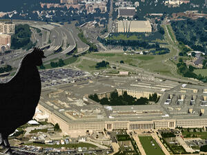 The chicken tried to enter the Pentagon