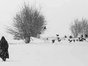 ما تفسير رؤية الطيور السوداء في الأحلام ؟