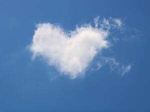 ما تفسير الحلم بالقلب في المنام؟ 