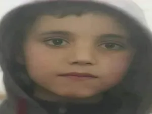 فواز قطيفان
