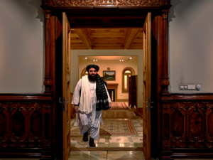 Taliban and Ukraine