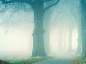 ما تفسير الحلم بالمشي في المنام؟