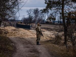 Melitopol mayor freed after being captured by Russia