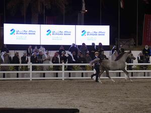 Burgan Bank Sponsors the Kuwait International Arabian Horse Championship 2022