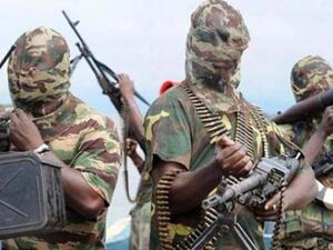 مقاتلون جهاديون غرب النيجر