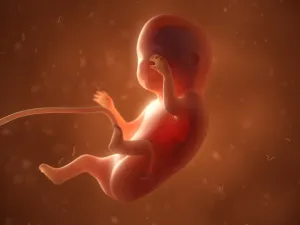 الأسبوع التاسع من الحمل