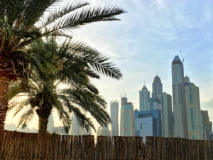 GCC IPOs 