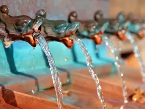 طبيب البوابة: عادات الشرب التي تسرع فقدان الوزن