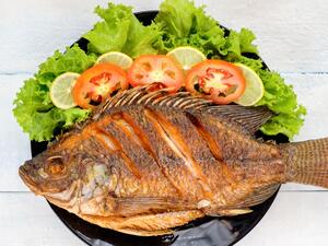 طريقة عمل الفسيخ المقلي