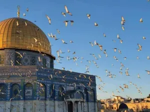 تشهد الأراضي الفلسطينية تصاعدًا في العمليات والتي أدت لمقتل عددا من المستوطنين