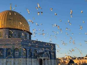 تشهد الأراضي الفلسطينية تصاعدًا في العمليات والتي أدت لمقتل عددا من المستوطنين