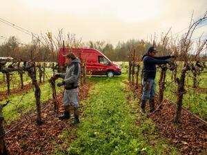 فورد تنشر تقريرها الافتتاحي لحقوق الإنسان، وترفع مستوى إفصاحها عن الخطر المناخي ضمن تقريرها الشامل للعام 2022