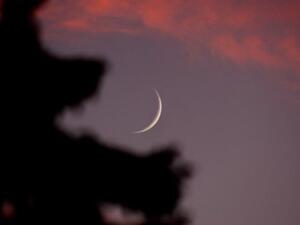 السبت اول ايام شهر رمضان في السعودية