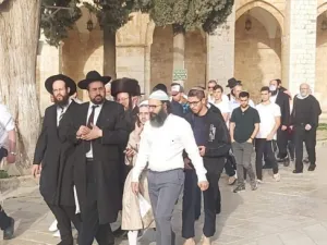 مجموعات المستوطنين تقتحم المسجد الأقصى على شكل مجموعات متتالية
