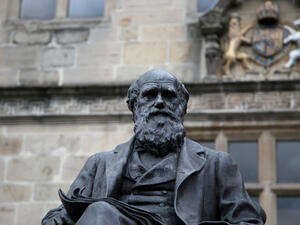 Missing Charles Darwin notebooks returned after two decades