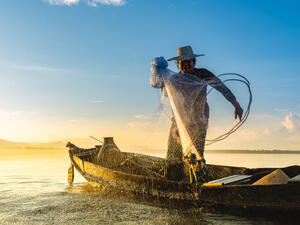 Bizarre fish that looks like a baby DRAGON is latest sea creature hauled in by Russian angler