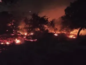 محمية اليرموك