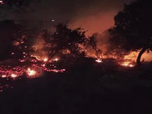 محمية اليرموك