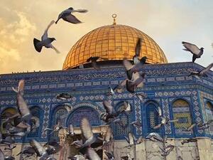 الحكومة الإسرائيلية سنستأنف ضد السماح للمستوطنين بالصلاة في الأقصى