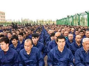 المسلمين الإيغور