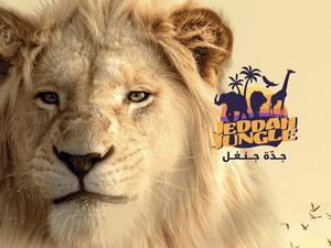 تذاكر جدة جنغل