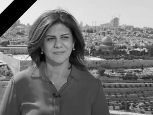 Al Jazeera Journalist