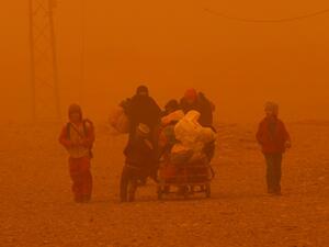 Thousands suffer as sandstorm hits Iraq