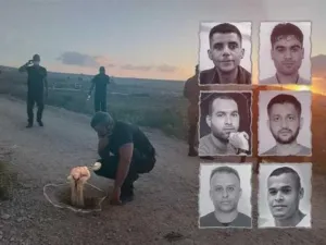 سجن جلبوع