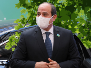 el-Sisi tree leaves