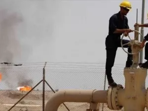 طفرة النفط وحتمية الوفاق السياسي في الجزائر