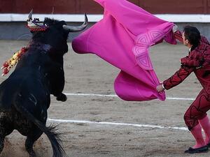 قتلى بانهيار منصة لمصارعة الثيران كولومبيا