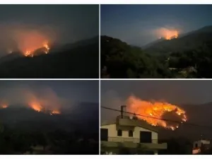 النيران تلتهم غابة بطرماز السفيري في  #الضنية