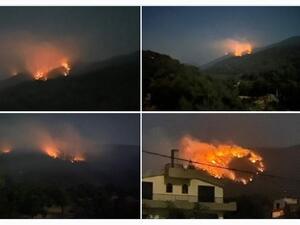 النيران تلتهم غابة بطرماز السفيري في  #الضنية