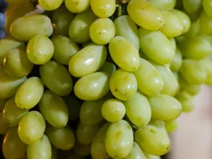 فوائد العنب الأخضر للإمساك 