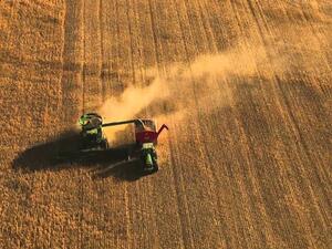 التحذير من الولايات المتحدة قد وضع هذه البلدان على مفترق طرق