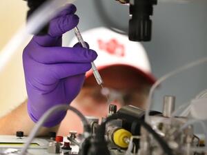 تؤكد مؤسسات مجتمع مدني ودول ان المعامل المذكورة اسست لنشر الامراض والفايروسات في العالم 