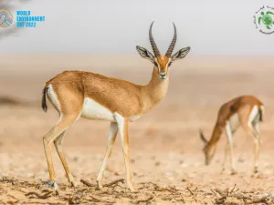 جمعية البيئة العُمانية تدعو الجميع إلى القيام بدورٍ فاعل من أجل الحفاظ على البيئة في سلطنة عُمان