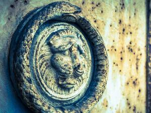 رمزية ومعنى الأفعى المفترسة في الأحلام