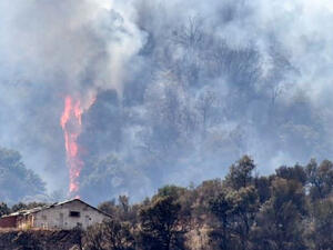 حرائق في المناطق الحرجية بولاية سطيف