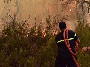 تقدم أجهزة الإطفاء المغربية في طريق احتواء حرائق الغابات