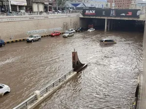 اليمن