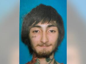 روبرت كريمو