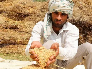  "العاصفة مكتملة الاركان"